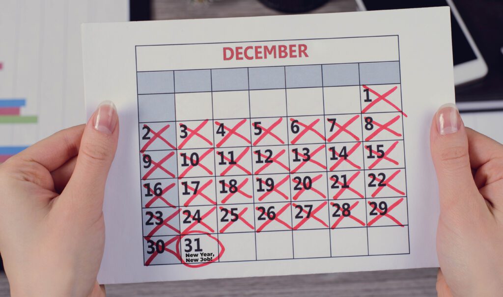 A Job Seeker's Guide for 2024